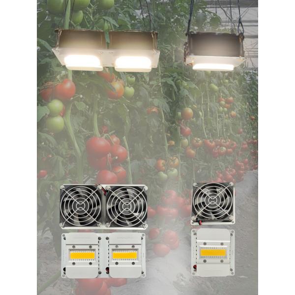 Light Bar Module COB Plant Light with Built-in Fan Cooling System for Home Gardeners and Greenhouse Growers