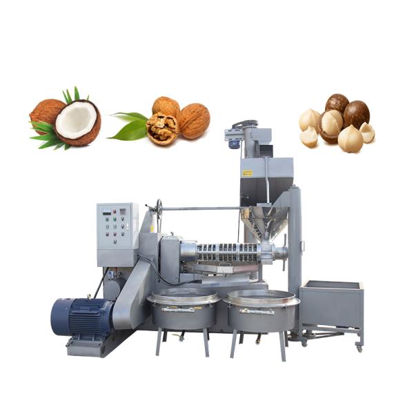 Cold Coconut Oil Processing Equipment 100 - 130 Squeeze Speed 1900kg Weight