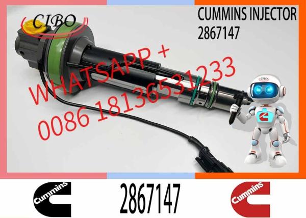New Repair Kit for K19 Diesel Engine Injector Model Numbers 2867147 2867149 2882077 4928349 4955524 4964170 4964171 4964
