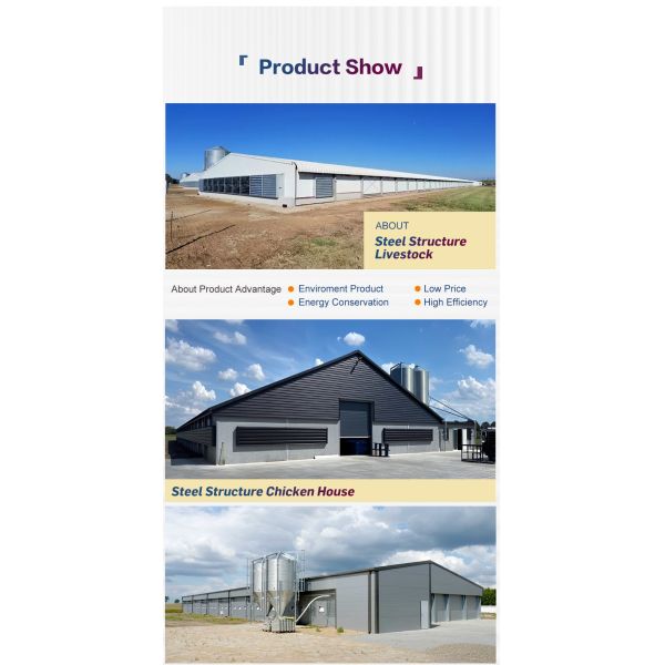 Large Span Steel Structure Chicken house Customizable for Poultry Farming