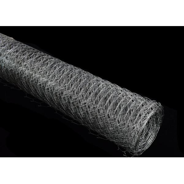 утюг цыпленка Dia 0.3mm гальванизировал шестиугольную ширину ячеистой сети 2m