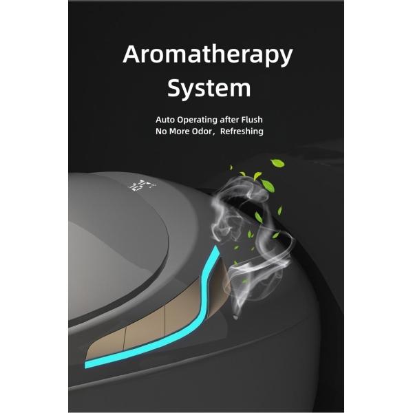 CUPC European 110v/220VAC Bathroom Toilet Bowl Smart Commode Auto Wash