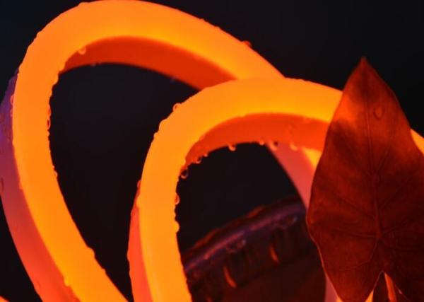 Pvc Water Resistant LED Flexible Strip Lights 12V 120leds/M 50000hrs Life Time