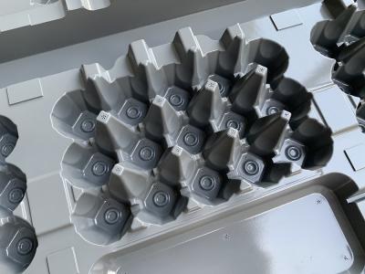 Molde de revestimento 10 da polpa ferramenta da caixa de 15 ovos para máquina Thermoformed