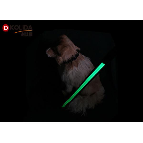 Green / Pink / Blue Nature Nylon 120cm Illuminated Dog Leash , USB LED Waterproof Pet Collar