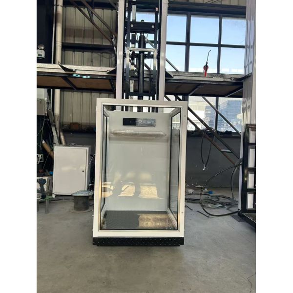 Disabled Wheelchair Vertical Platform Lift with Aluminum Alloy or Stainless Steel