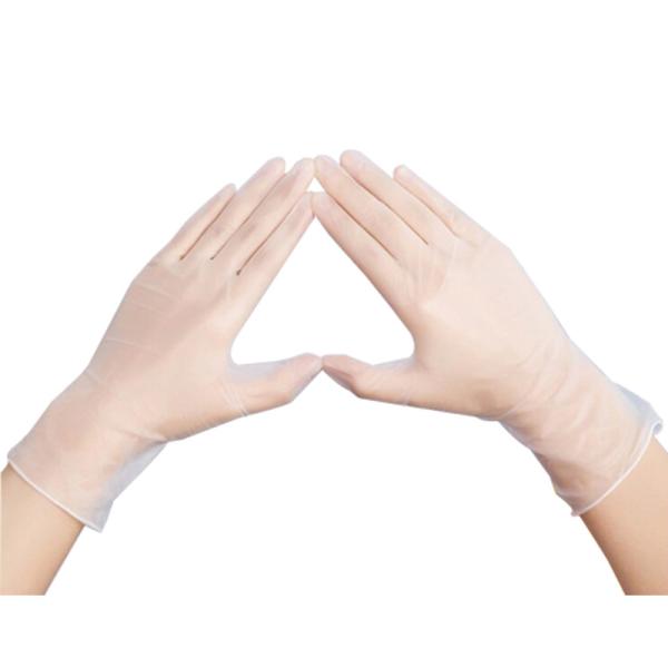 Medical Eexamination Disposable Vinyl Gloves With Ce Certificate