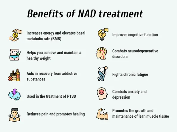 NADH Powder 98% Nicotinamide adenine dinucleotide