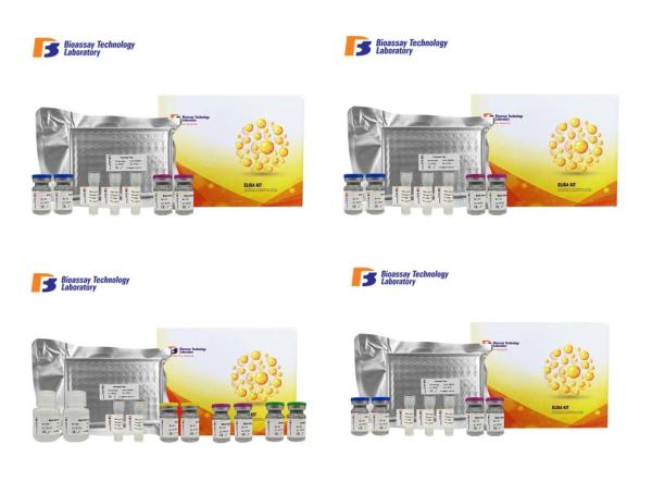 Canine SDMA Enzyme Linked Immunosorbent Assay Kit 96 Wells Size With Strong Sensitivity