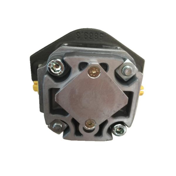 レックスロスギアポンプ PGF1-21 1.7RE01VU2 シルバーと黄色 高効率低ノイズ 長寿命 鋳鉄電気