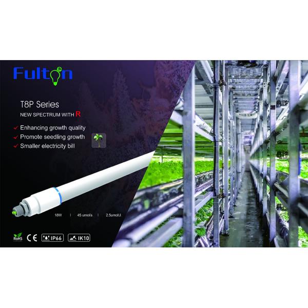 T8Pの垂直は軽い管のライト級選手および小さい2.65umol/J 22Wを育てる