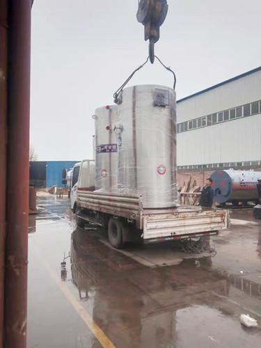 Environment Friendly Energy Efficient Gas Boiler Hot Water Output 1 Ton Weight