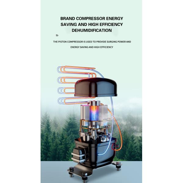 Mini Dehumidifiers Semiconductor Refrigeration Portable Quiet Air Humidity Dryer