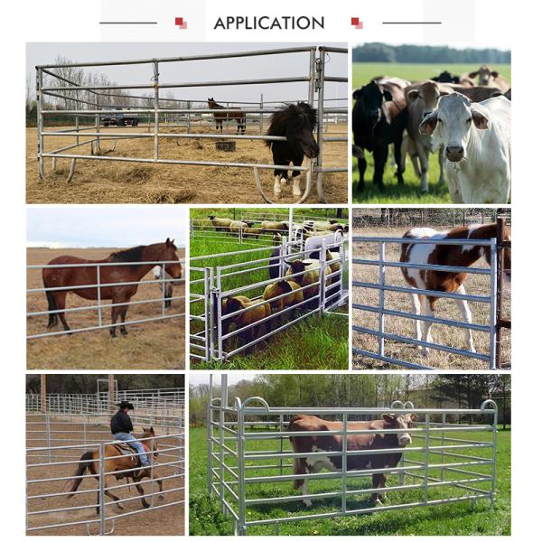 Оптоваяа цена 1.6M гальванизированная лошадь поголовья скотин сваренная панелями овцы ограждают панели для фермы