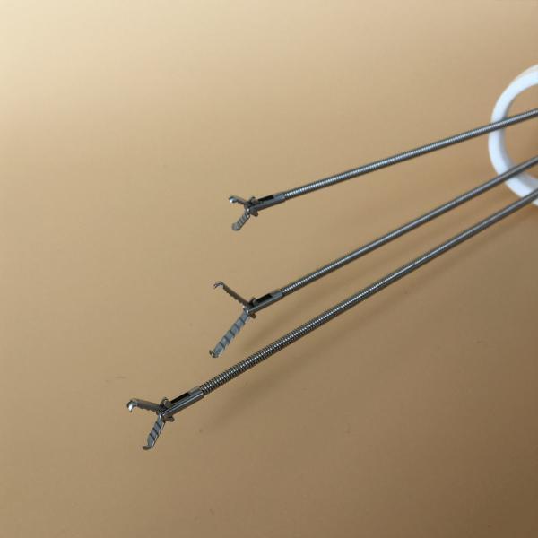 Endoscopic Single Use Alligator Biopsy Forceps Rotation Handle