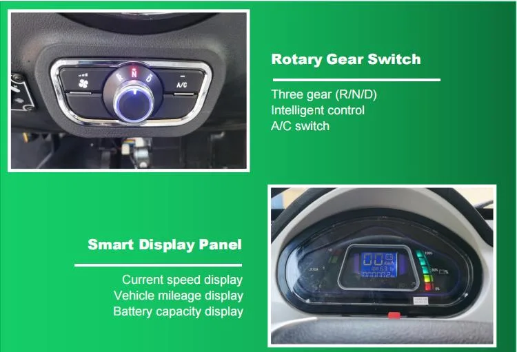 Raysince new design Adult electric car with right hand drive steering