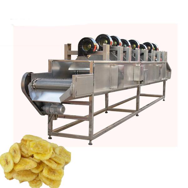 Máquina de secagem industrial de frutas para secar alimentos e vegetais
