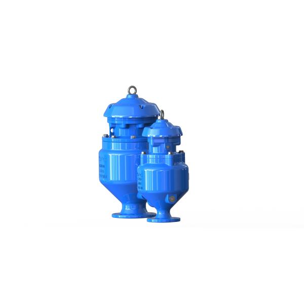 Sewage Air Release Valve with DN50-DN200 Size Range 316SS Internal Parts and PN10-PN40 Pressure Ratings