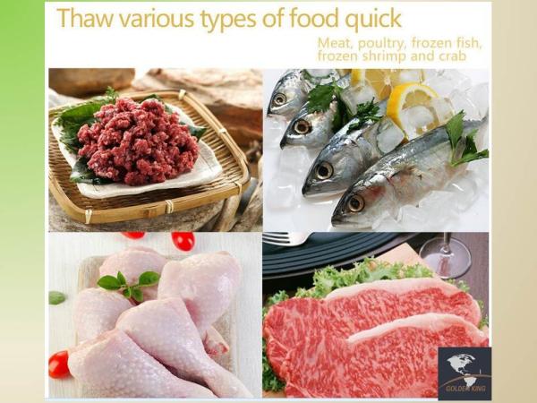 New Design HealthySeaFood Mini Aluminium Material Magic meat quick Thawing Defrosting Tray