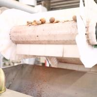 a noz-pecã de rachamento seca do CE 220V que descasca a máquina conecta ao núcleo Shell Separator do IR