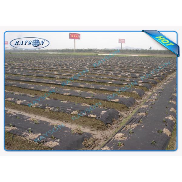 Environmental Friendly Agriculture Non Woven Cover Full Color Range