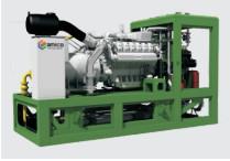 Natutal Gas 250kw Syngas Generator 100kPa Water Cooled Generator