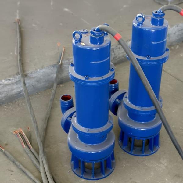 Portable Portable Submersible Sewage Pump Compact Lightweight And Ideal For Flood Drainage And Emergency Use