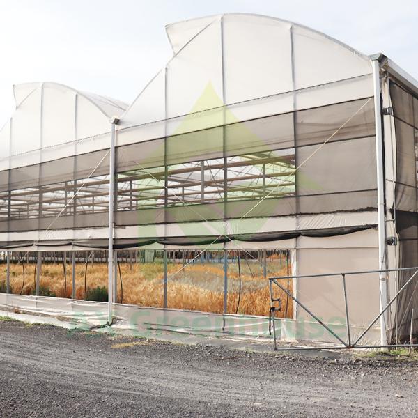 Wind Resistant Plastic PE Film Commercial Poly Tunnel Greenhouse For Planting Fruit