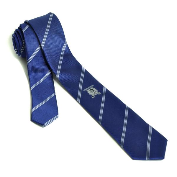 Football team Ties, Custom Logo Ties,Club group Ties