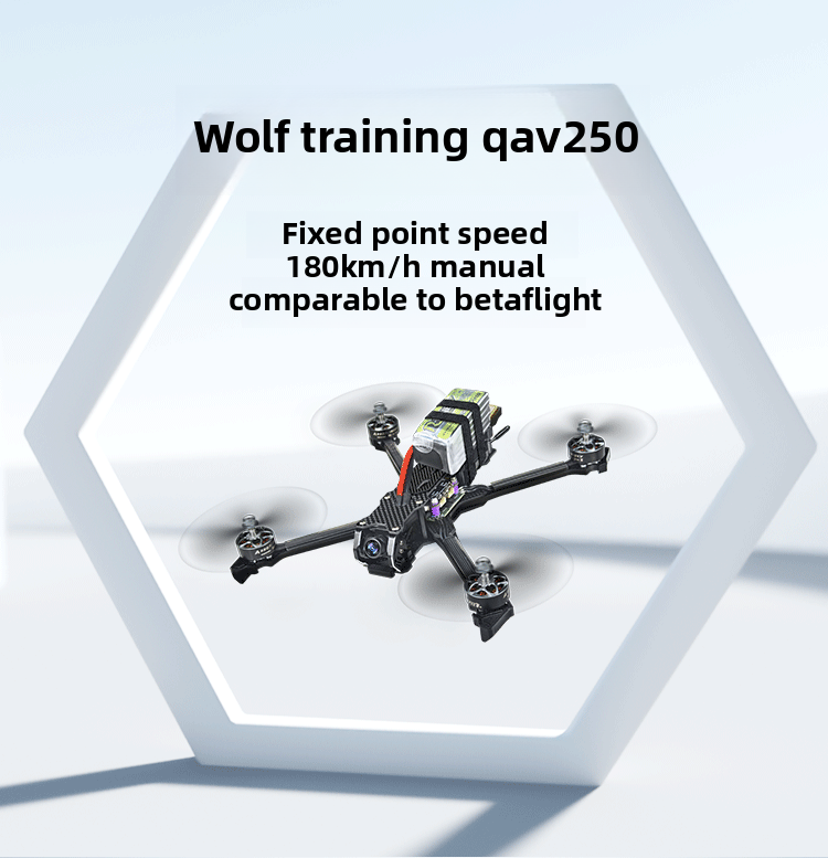 Ledi QAV250 Mini 2 Drone 5-inch GPS FPV Racing Aerial Photography Simulation Autopilot Carbon Fiber Digital Model Remote Lipo