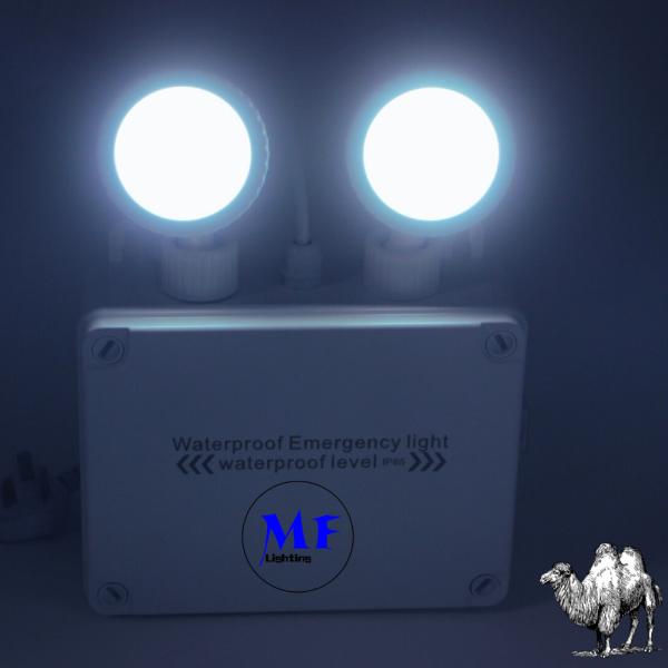 Emergency Double Head Light IP65 Waterproof Outdoor Indoor Long Duration Time Rechargeable Energy Saving 2*5W AC 85-265V Exit Sign LED Emergency Light For Factory Warehouse Office Hotel