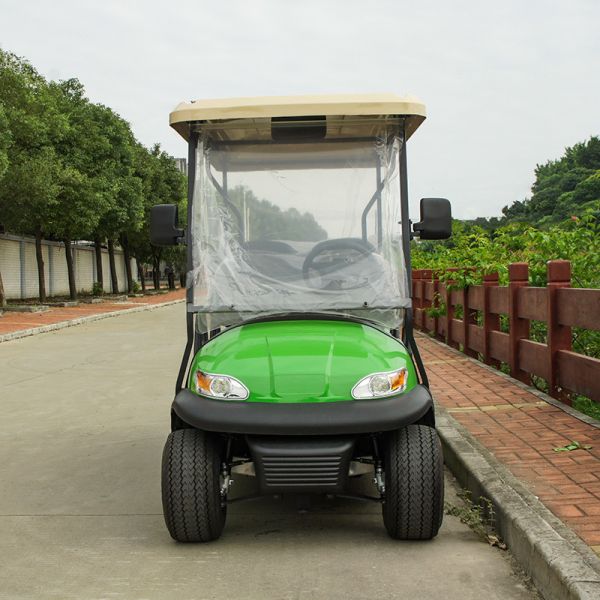 4 Front Seat and 2 Back Seat Electric Golf Cart  48V Lithium Battery Powered