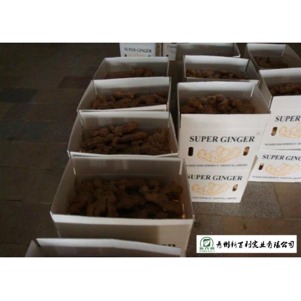 150 - 300 G / Per Fresh Yellow Ginger Sell To Supermarket And Wholesaler