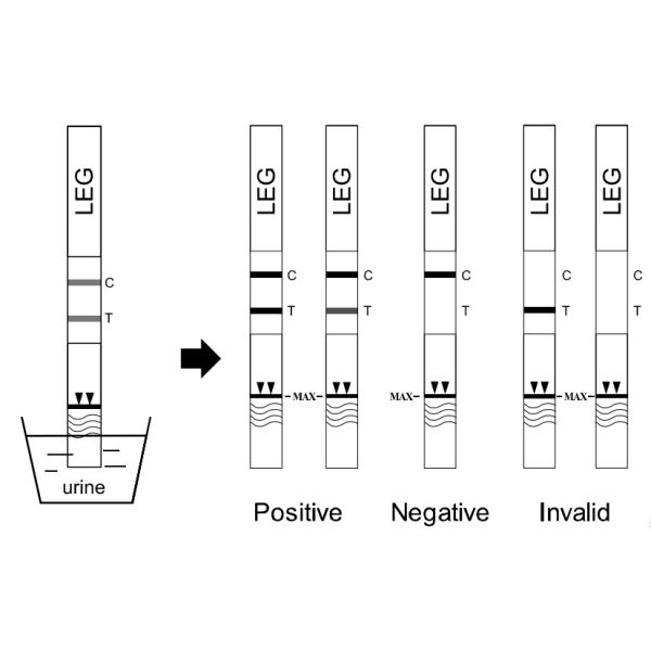 One Step Infectious Disease Blood Tests , Legionella Testing Kit Cassette Format