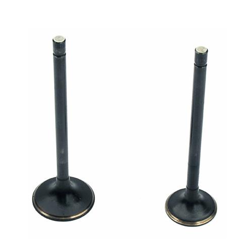 BAJAJ 3W4S 175 STD IN&EX Motorcycle Intake Valve / Motorcycle Engine Parts