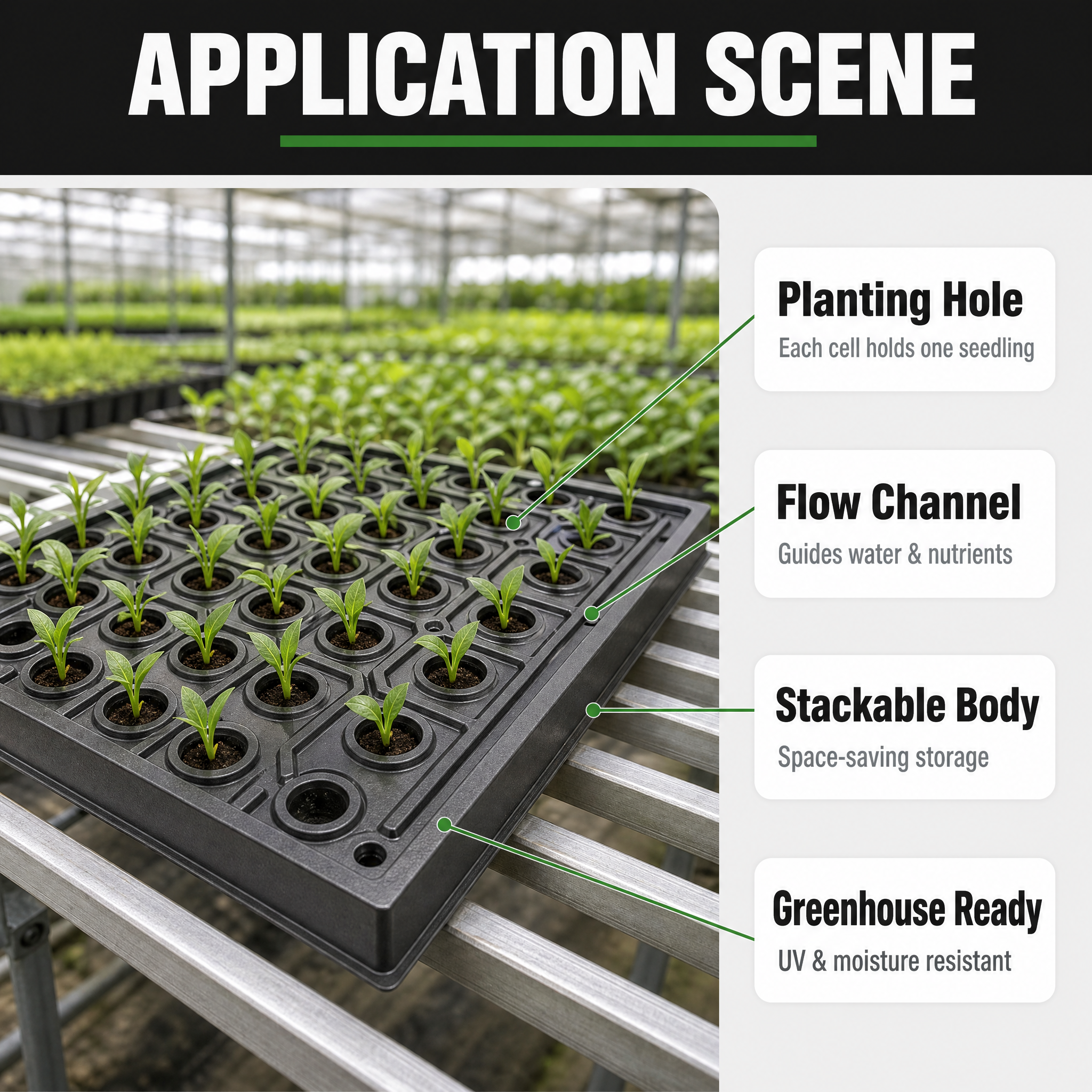 Heavy Duty ABS Vacuum Formed Hydroponic Grow Tray Custom Thermoformed Seedling Flat for Microgreen Nursery