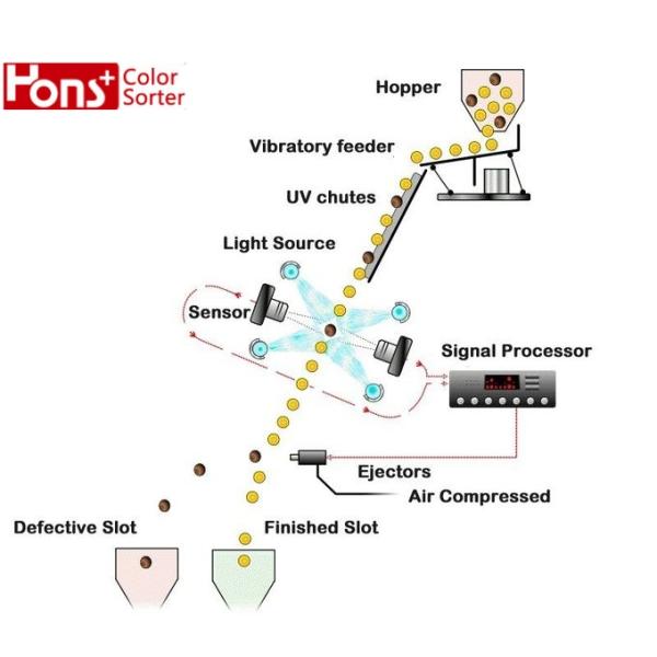 Coffee Beans CCD Color Sorting Machine High Sensitivity 3.0t/H 6 Chutes