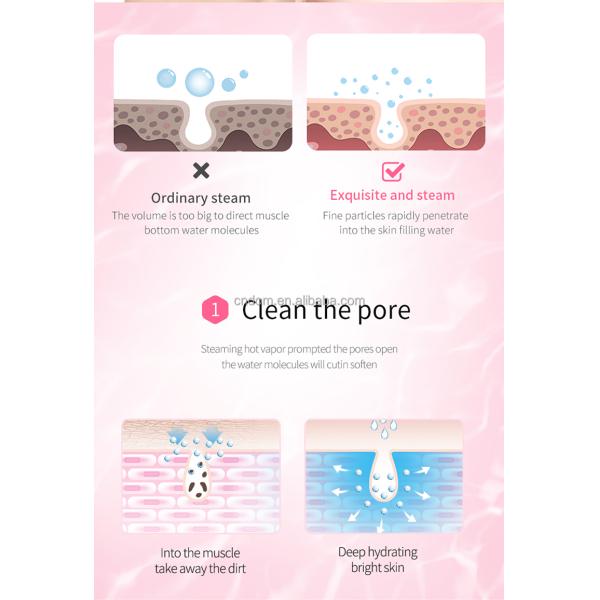 Gross Weight 1300g 2023 Newest Nano Facial Steamer for Salon Humidifier Multifuncional
