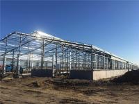 Q235B Prefabricated Steel Structure Cattle Farm Building