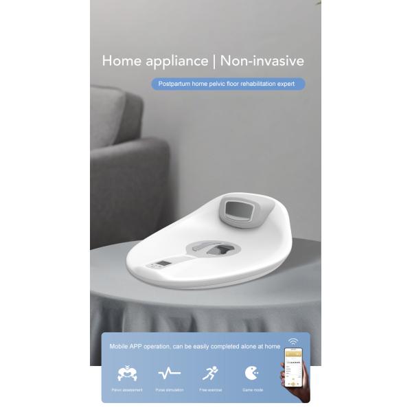 Ems Pelvic Floor Chair Machine Ems Pelvic Therapy Chair Strengthening Pelvic Muscles Urinary Incontinence Ems Muscle Stimulator