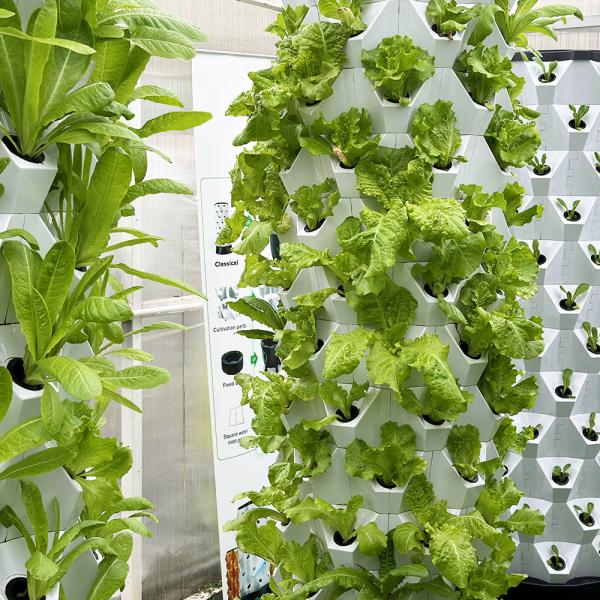 コンパクトで汎用的な水分栽培栽培システム 貯蔵スペースタイプ
