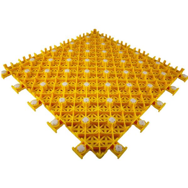 Чистый справляться спорт ПП многофункциональный модульный анти- увядает Дурабле погоды устойчивый