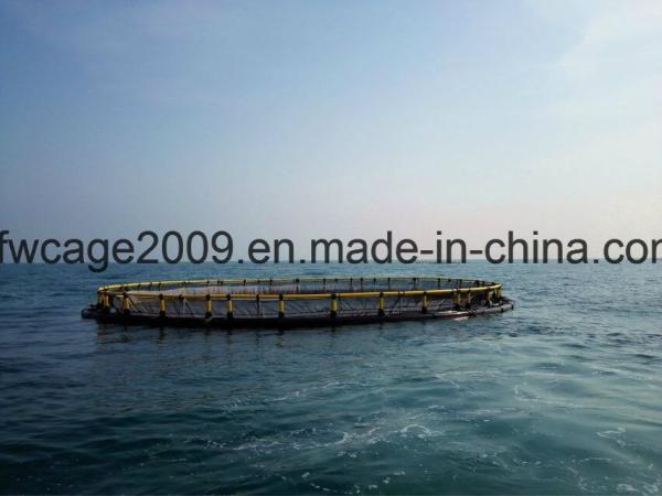 90m Nfw Floating Fish Aquaculture Net Cage For Sea Aquaculature
