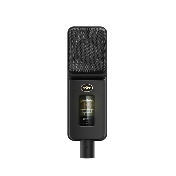 797 Audio ATCR01 OEM/ODM Mic Professional Portable Studio Karaoke USB Condenser Tube Microphone Manufacturer Supplier