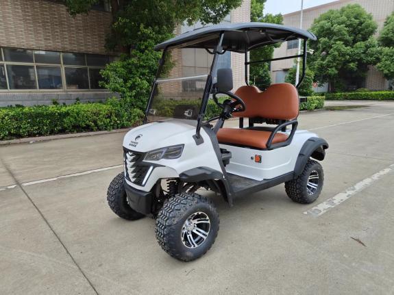 Electric Four Wheel New Energy 2 Seater Off Road Lifted Golf Carts
