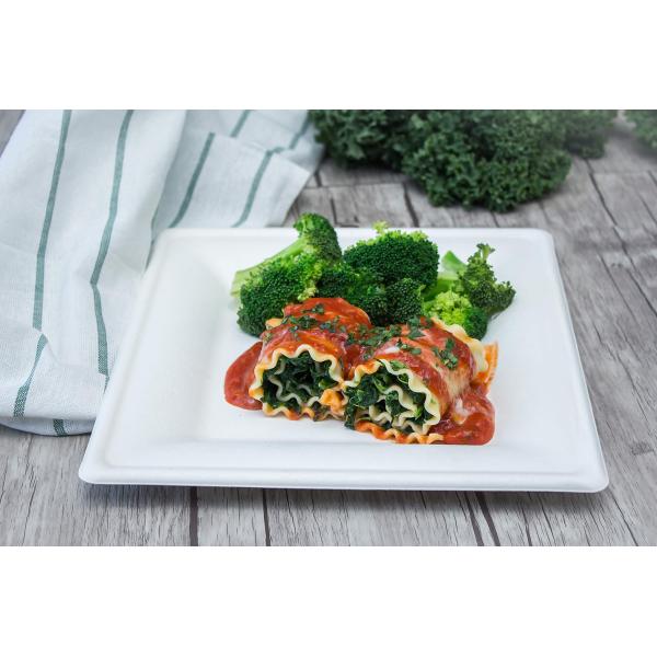 10 Inch Square Dessert Sugarcane Biodegradable Plates