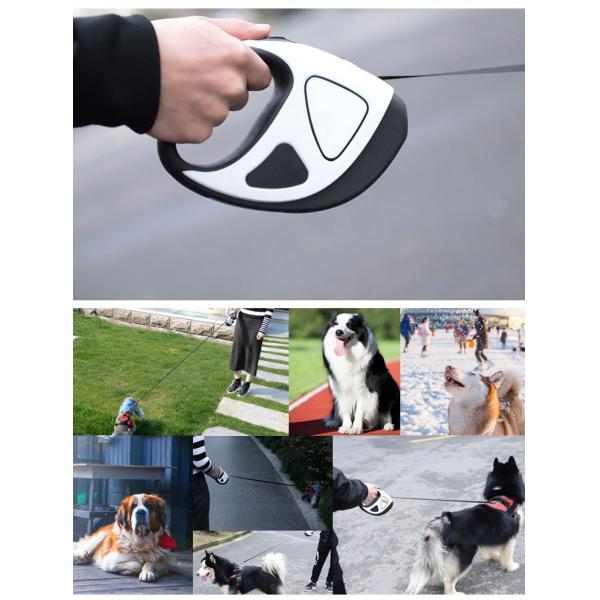 Small Medium Lighted Dog Leash Retractable 10ft 16ft Extendable Dog Lead With Torch