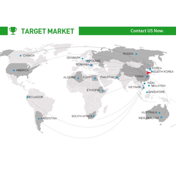 High Effective Customized Color Steel Aluminum Galvanized Sheet Metal Roof Roofing Sheet Making Machine With 20 Forming
