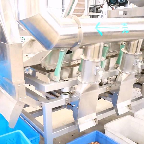 CE Verified 380V Pecan Shelling Machine With High Perfect Kernel Rate