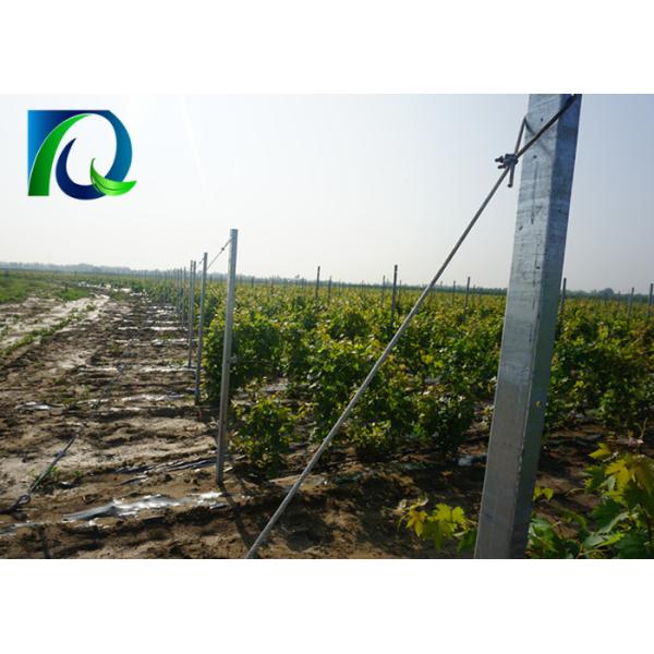 High Strength Vineyard Trellis End Posts With Round Holes 2.0mm-4.0mm Thickness